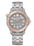 Omega Seamaster Co-Axial 210.60.42.20.99.001 NEW Complete 2024 Men's Watch 42mm