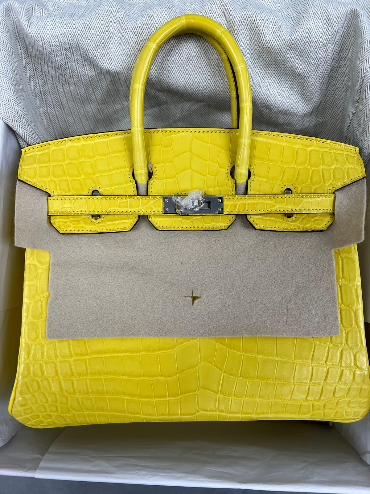 Hermes NEW Birkin 25 Matte Alligator Mimosa Ladies Bag