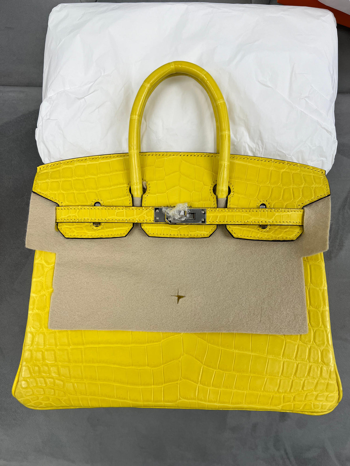 Hermes NEW Birkin 25 Matte Alligator Mimosa Ladies Bag