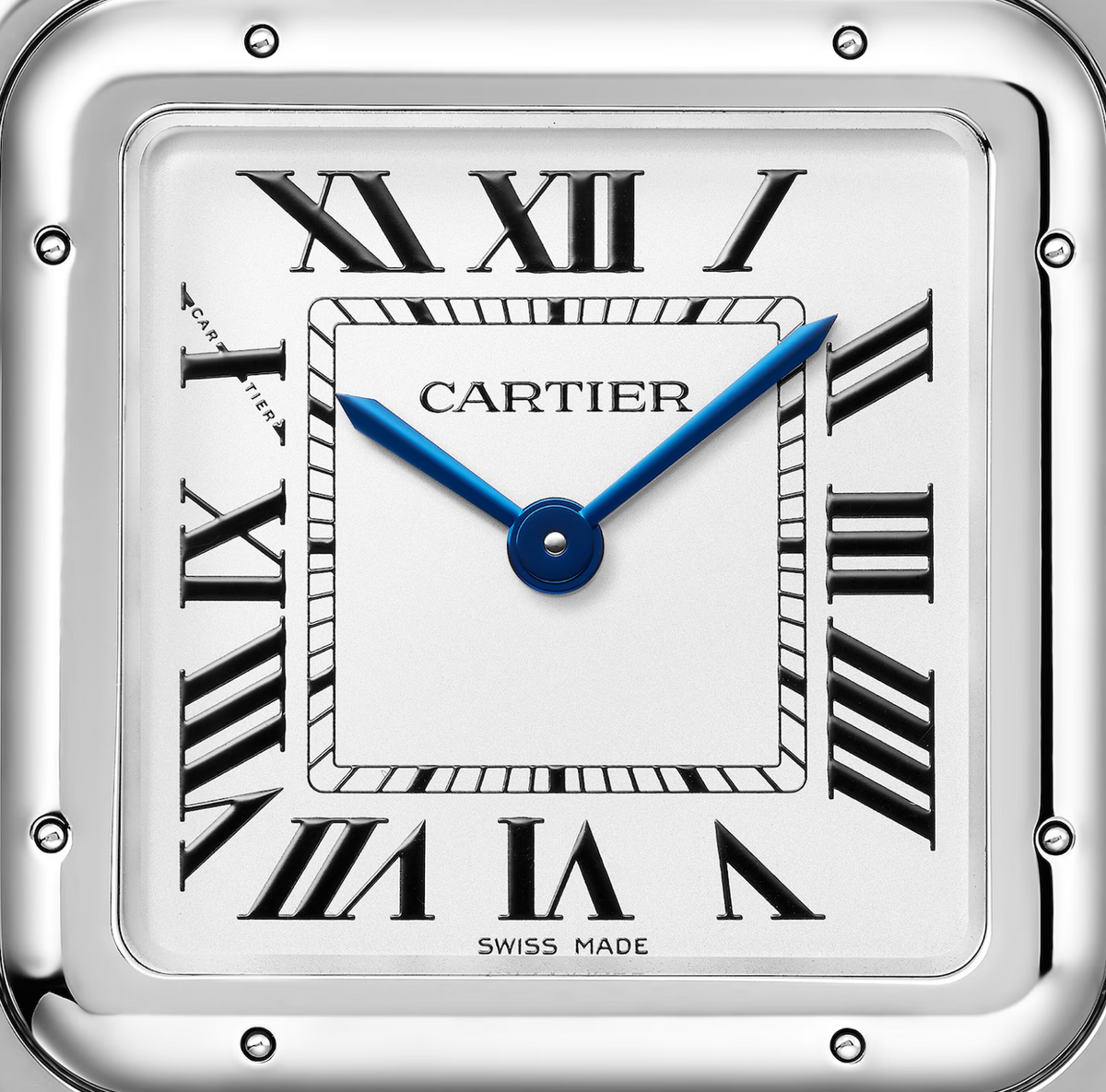 Panthère de Cartier watch WSPN0011 Unworn 2024 Dated